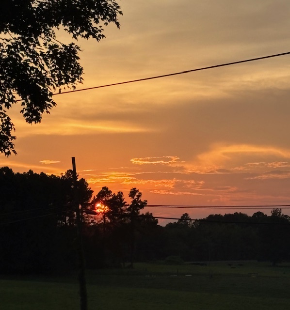 If You See Something, Say Something