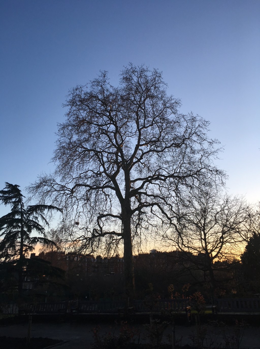 Beautiful Architecture